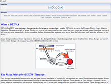 Tablet Screenshot of denasusa.com